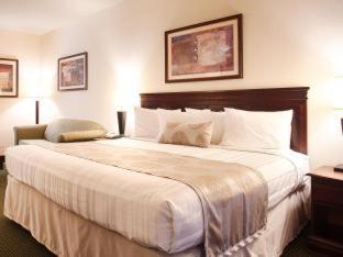 Best Western Jacksonville Inn Habitación foto